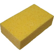 sponge