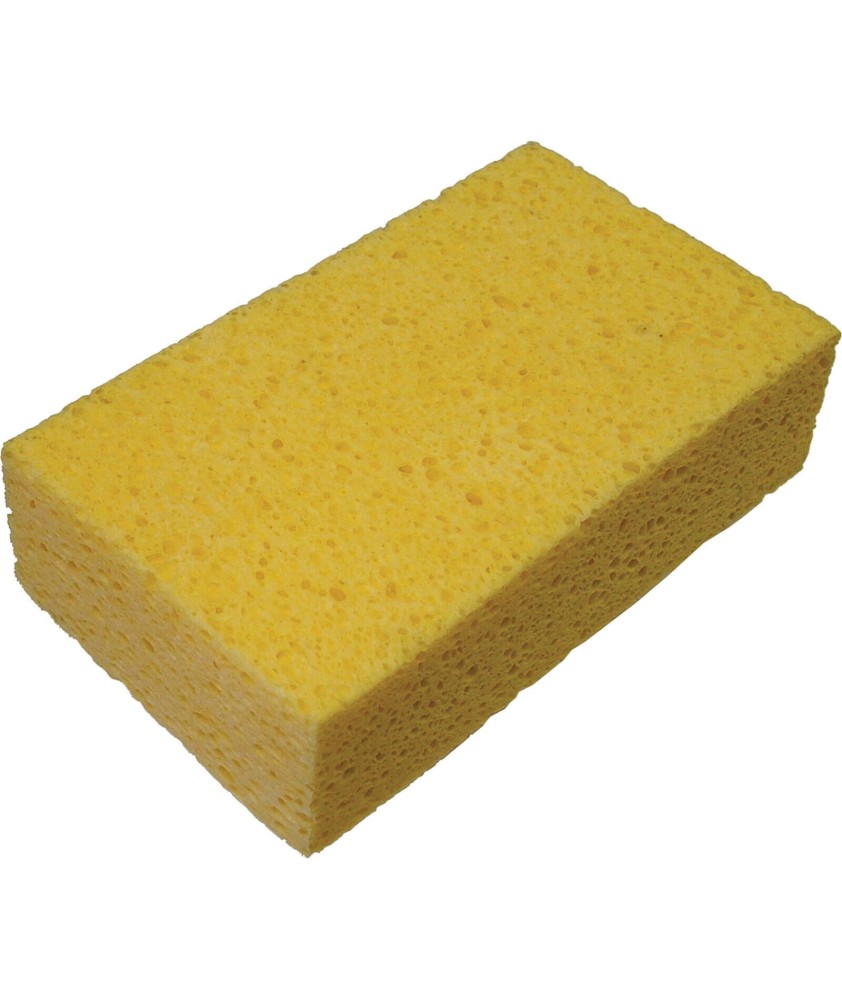 sponge