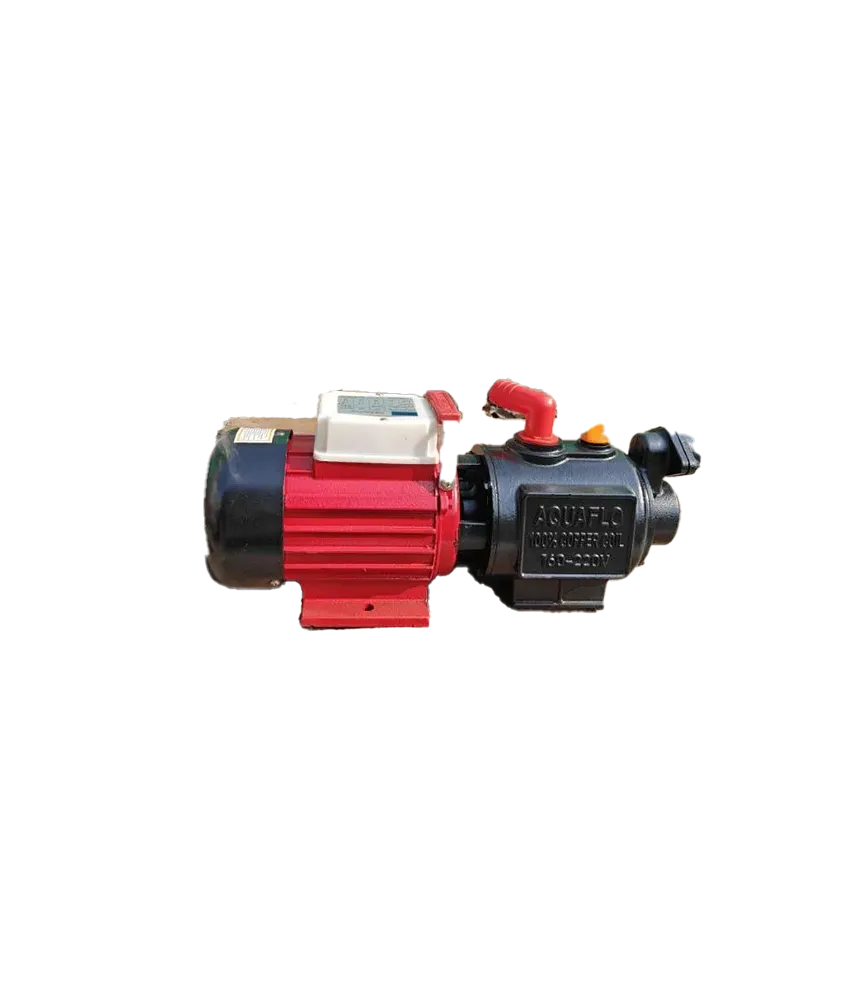 Monoblock pump